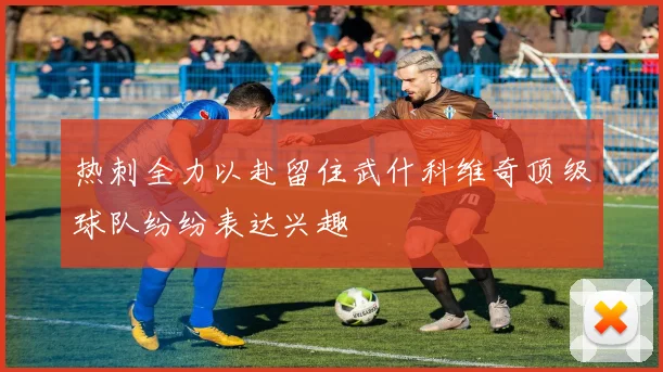 热刺全力以赴留住武什科维奇顶级球队纷纷表达兴趣